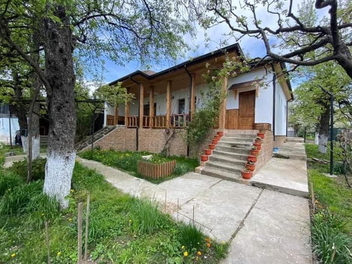 Pensiunea Dodo Patarlagele Exterior foto